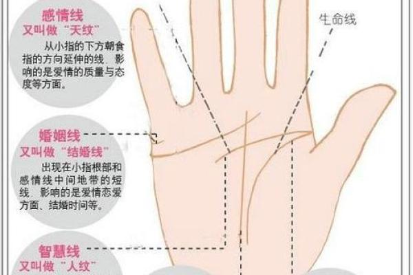 看手相算命生命线 手相图解生命线怎么看