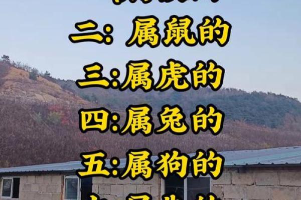 哪个动物是算命先生,哪个生肖会算命