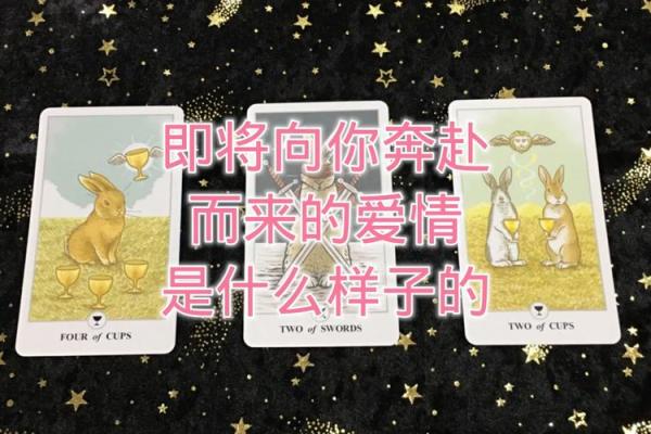 塔罗测试：爱情中你追求着什么？