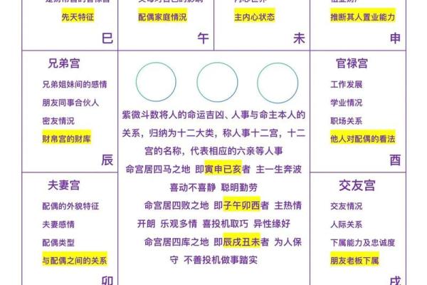 紫薇斗数的格局