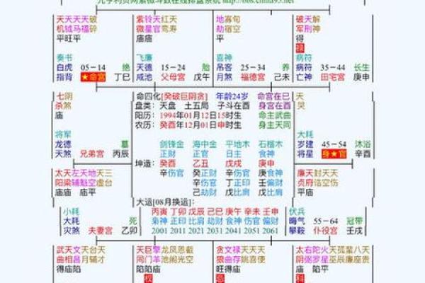 紫薇斗数中的年解