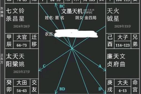 紫薇斗数老年看