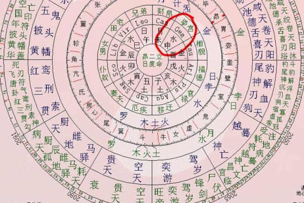 紫薇星盘斗数排盘