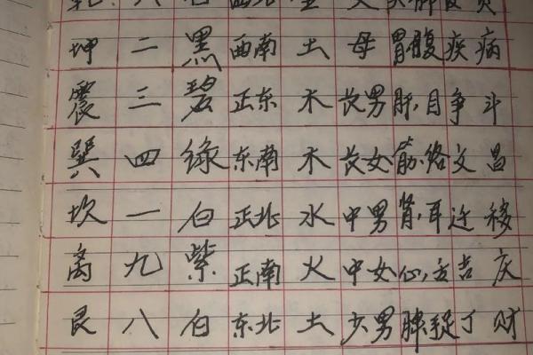 九星命理算命视频