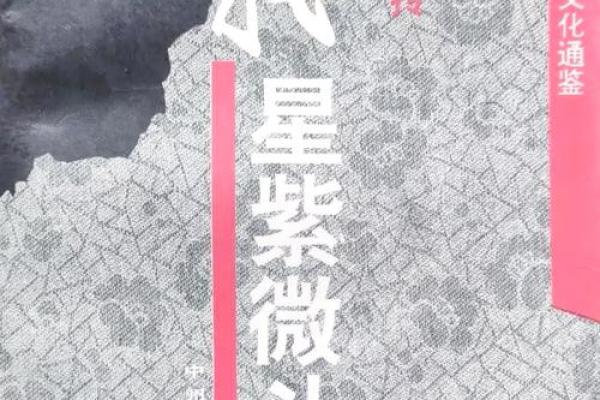艺术紫薇斗数