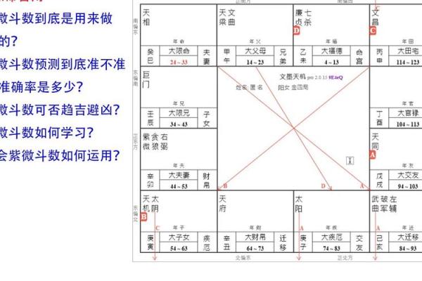 艺术紫薇斗数