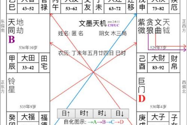 紫薇斗数壬干格局