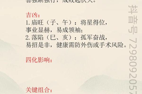 紫薇斗数精成大家