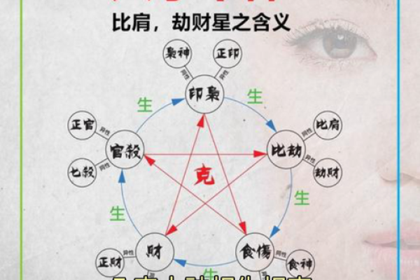 天干、地支、五行、十神是什么？超简单教你快速认识自己的八字