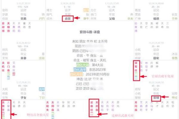 紫薇斗数测事业成就