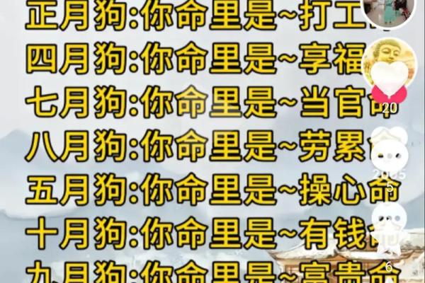 婚姻算命配对