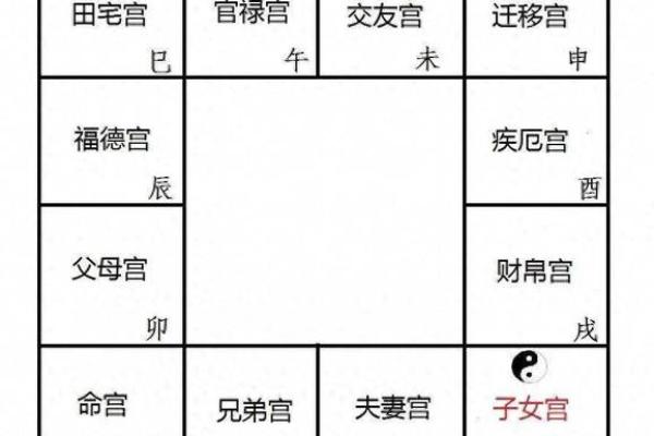 中华紫薇斗数在线排盘