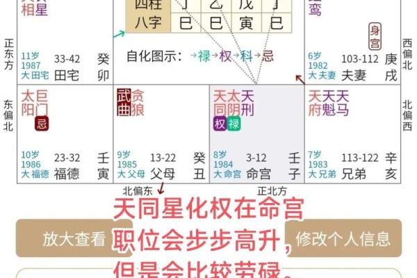 紫薇斗数厉害的人
