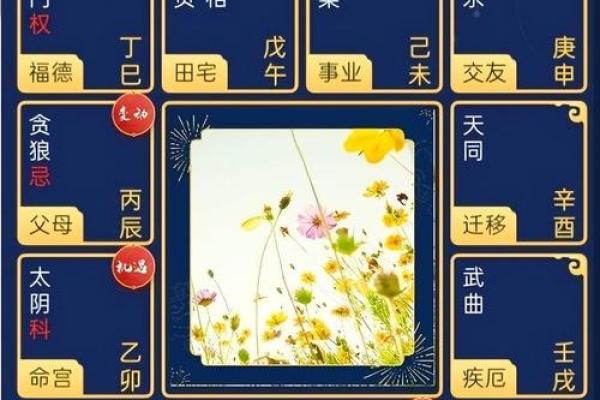 紫微斗数之命宫四化飞星 紫微斗数之命宫四化飞星
