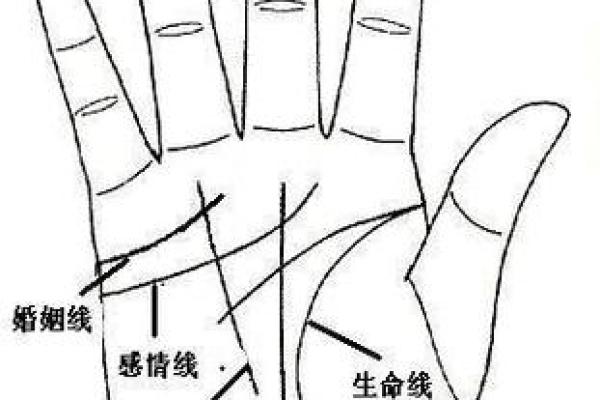 女性手掌纹算命图解婚姻