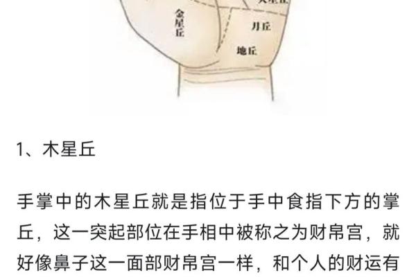 手线算命