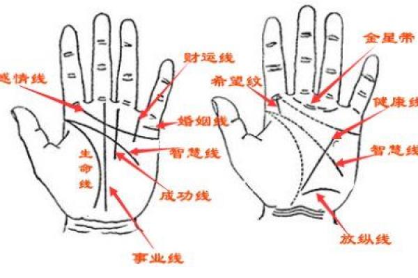 手线算命
