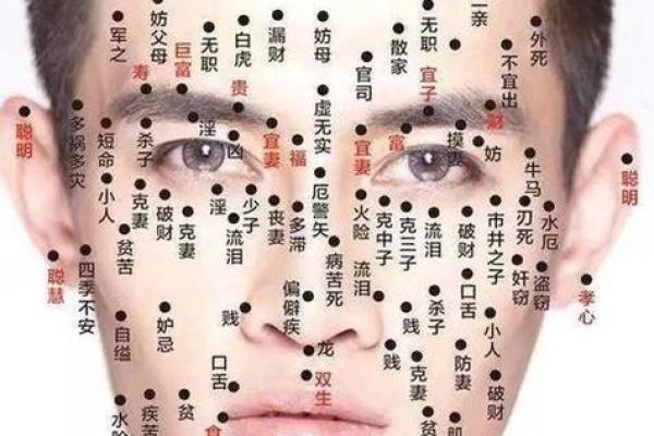 如何从下巴看相算命