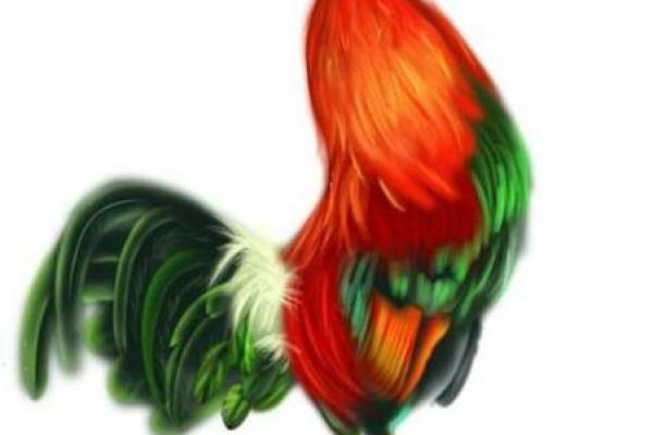 瓷都网名测试吉凶查询