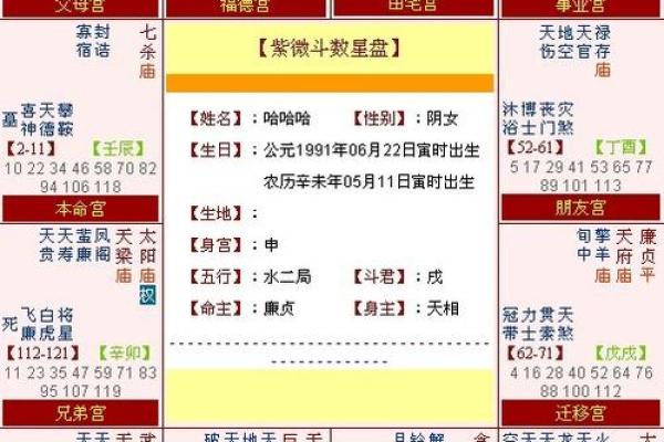 生辰八字宫位算卦怎么看