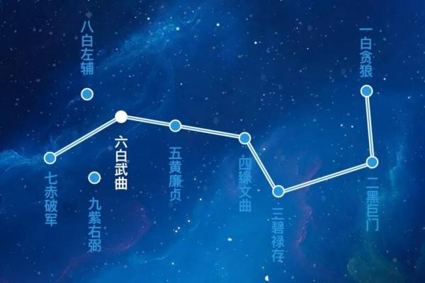 皮肤白紫薇斗数