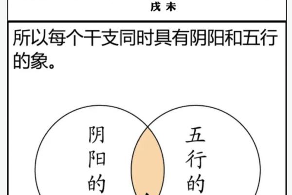 什么八字阴