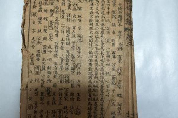 梅花易数算命入门书籍