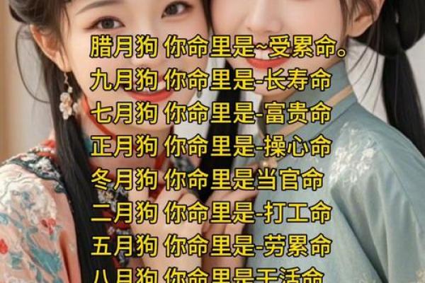 算命的说狗和猪好不好