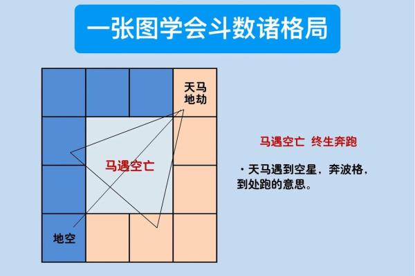 紫薇斗数通天