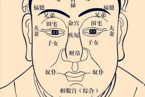 生辰紫微斗数 紫微斗数生辰八字？