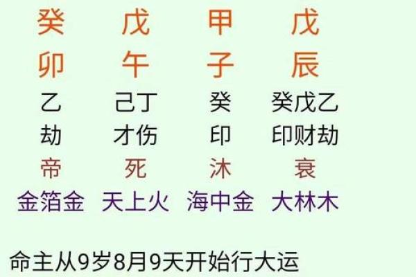 子平八字排盘最新版本下载,下载八字排盘宝官方版