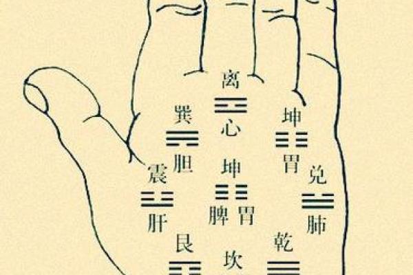 看手相算命图解：指纹