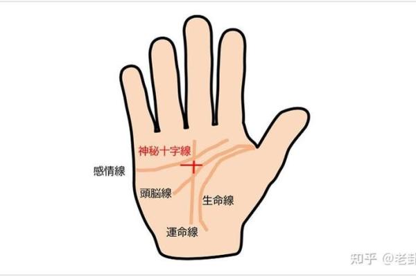 看手相算命图解：指纹
