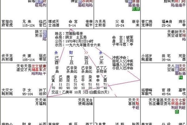 排紫薇斗数星盘