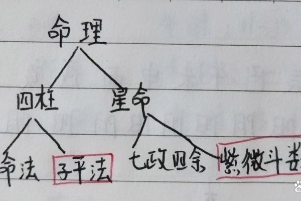 八字命格推理算命