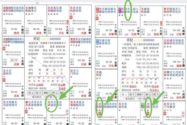 庄氏飞星派紫微斗数 庄氏飞星派紫微斗数入门票 初阶篇 中？