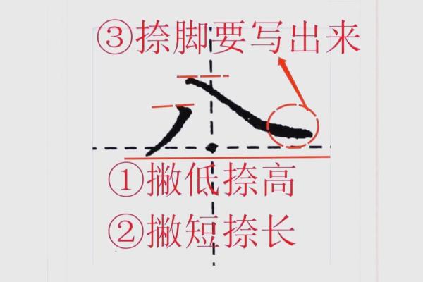 倒八字头有哪些字