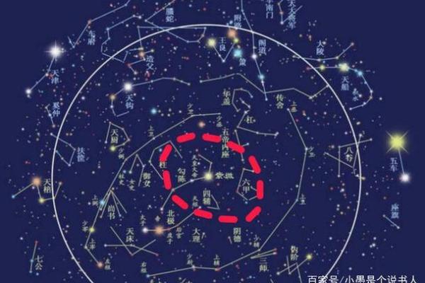 紫薇斗数命主星算