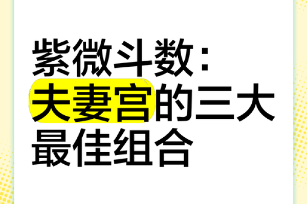 紫薇斗数夫妻天才