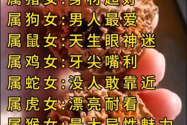 算命桃花女是什么意思呀