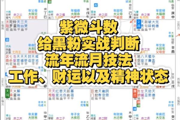 预测包括紫薇斗数