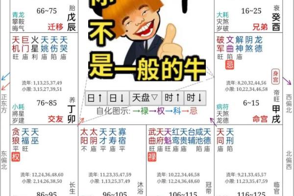 紫薇斗数大运和八字不一样