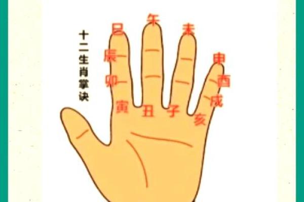 八字基础