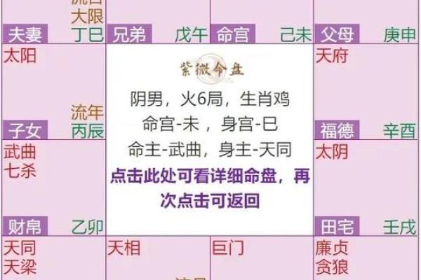 紫薇斗数一等命盘
