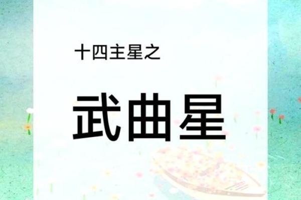 紫薇斗数夹主星