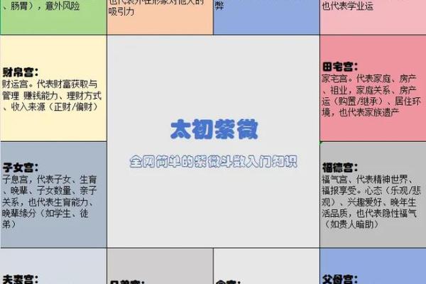 跟着AI学紫薇斗数，紫微星的四化的介绍