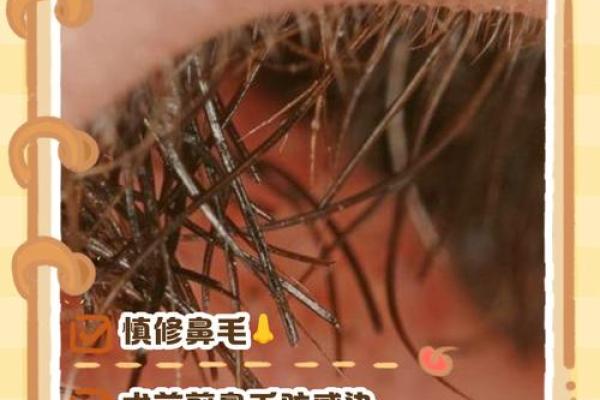 鼻毛算命,鼻毛长代表什么