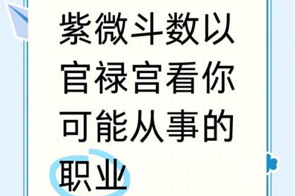 紫薇斗数看未来公公