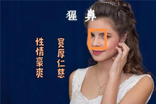 看紫薇斗数的人