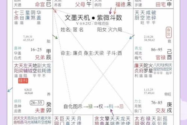 紫微斗数之生年干四化表象:夫妻宫四化入各宫表象 紫微斗数之生年干四化表象:夫妻宫四化入各宫表象